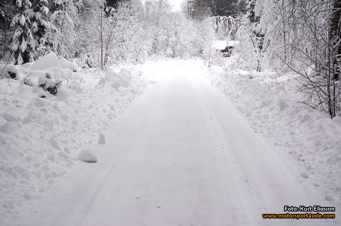 Skutskärsratten 2015