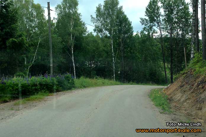 Rally Edane