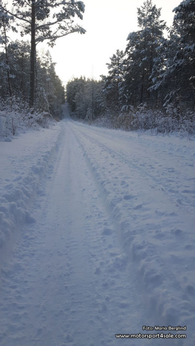 Vinterhälsningar från Finnskoga-skogen