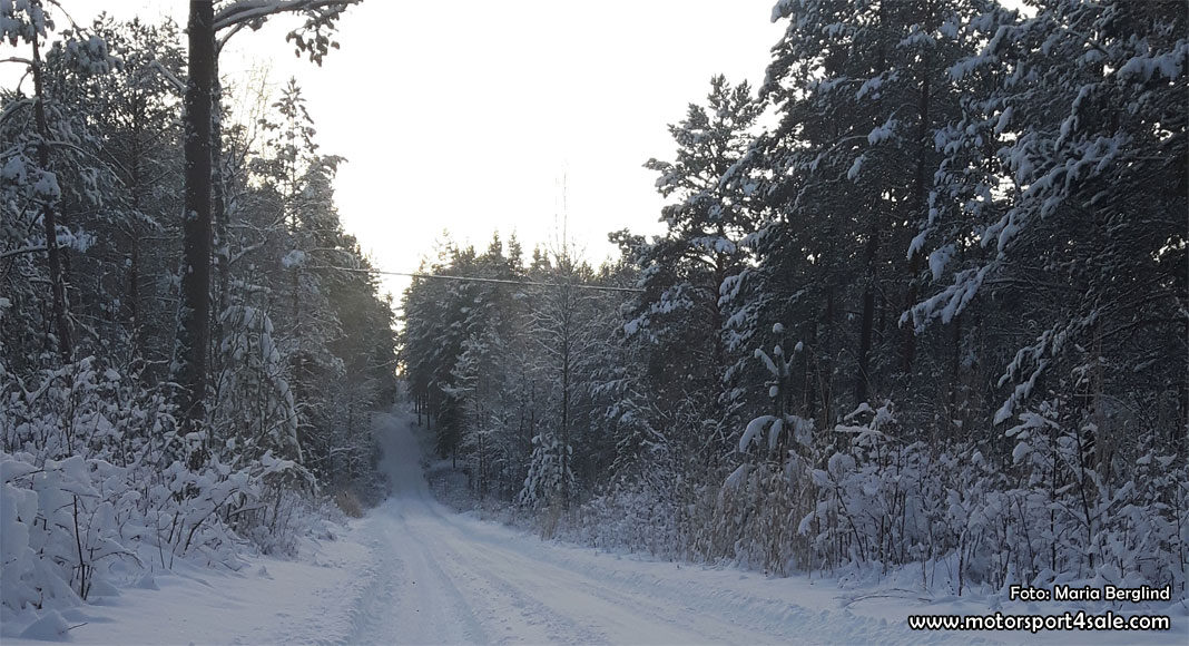 Vinterhälsningar från Finnskoga-skogen Vinterhälsningar från Finnskoga-skogen