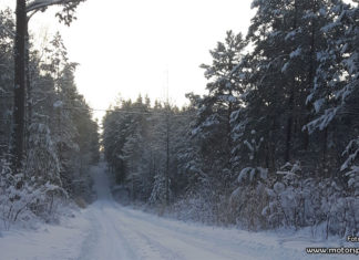 Vinterhälsningar från Finnskoga-skogen