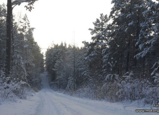 Vinterhälsningar från Finnskoga Vinterhälsningar från Finnskoga-skogen