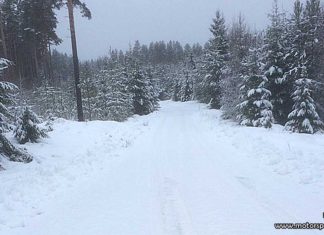 Senaste nytt inför Finnskogavalsen Senaste nytt inför Finnskogsvalsen