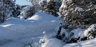 Hälsingerallyt 2023 – Tidsschema, resultat, programförsäljning Hälsingerallyt 2023 - Tidsschema, resultat, programförsäljning