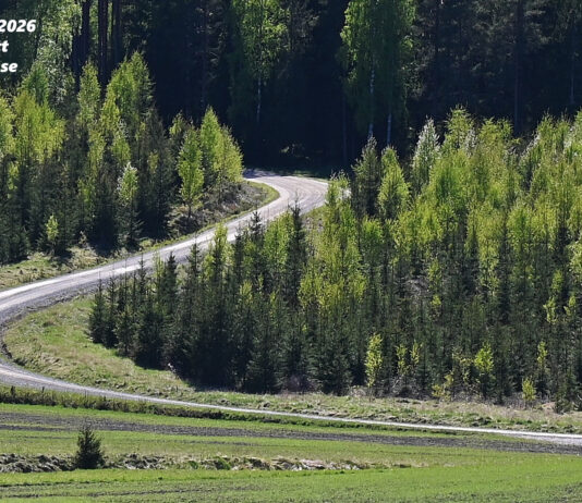 Rally Nyköping 2026 – Resultat, tidsplan, program, bilder och film Rally Nyköping 2026